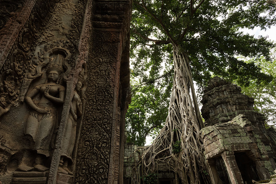 ta prohm temple cambodia