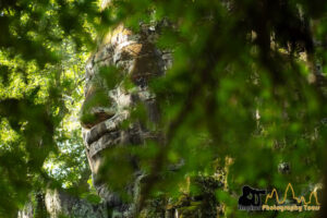 angkor thom gate