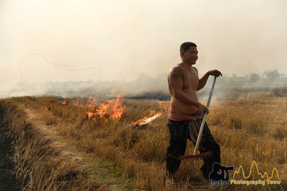 slash burn rice fields