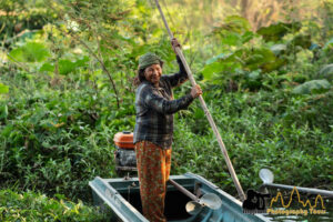 water hyacinth harvesting