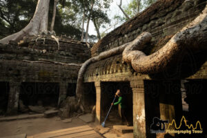 ta prohm temple roots